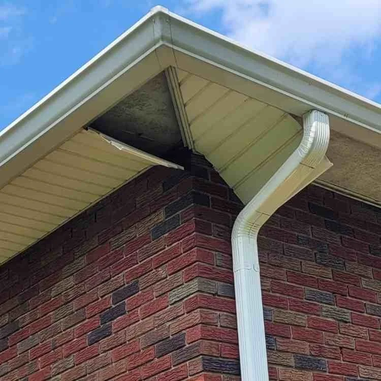 Damaged Soffit.jpg