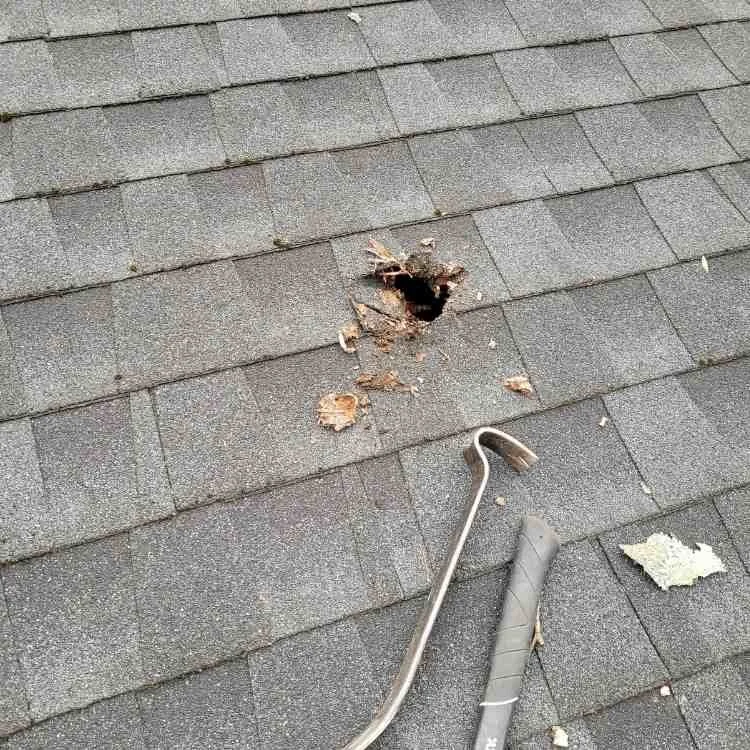 Storm Damage on Roof.jpg