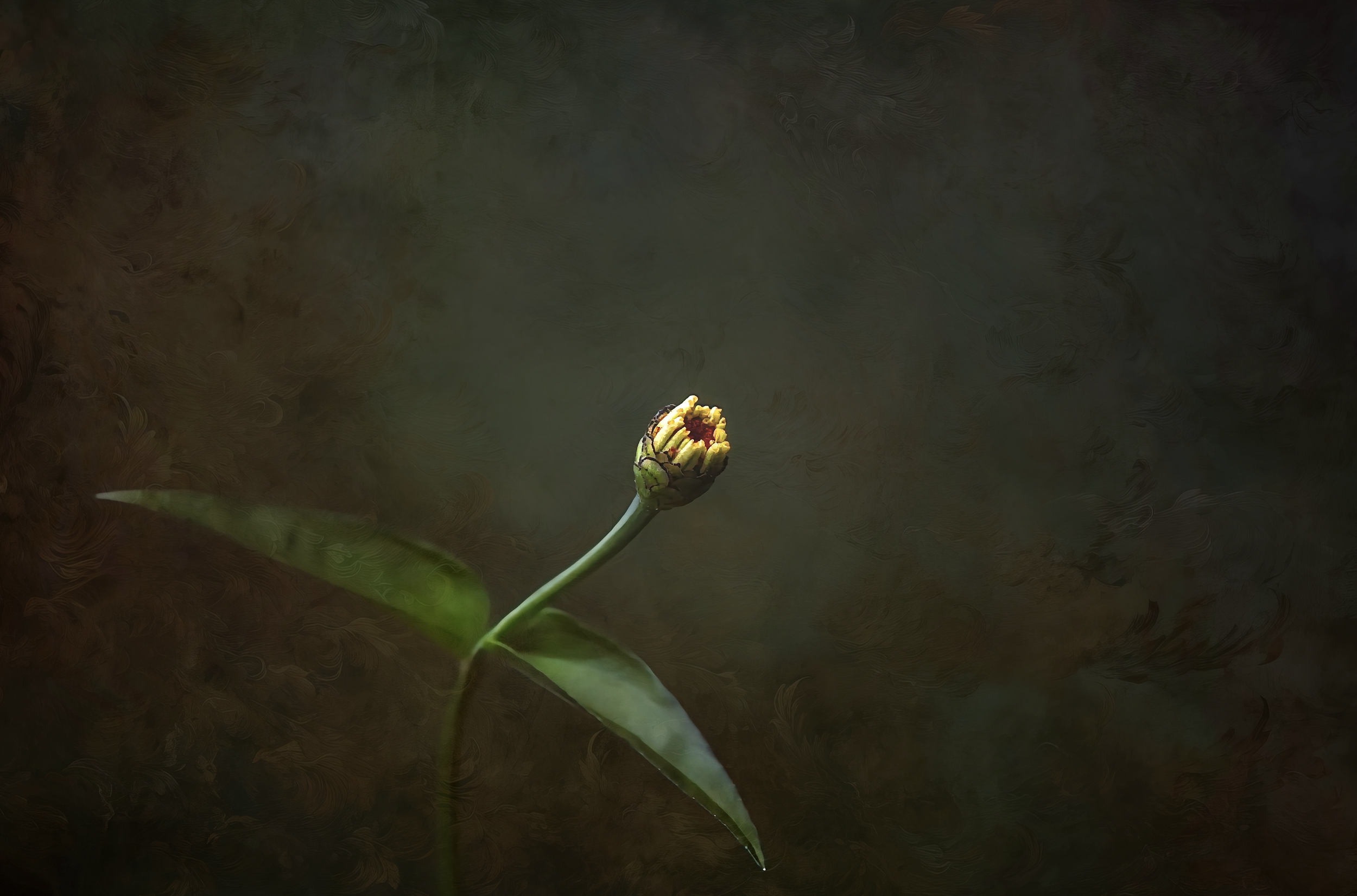 One Single Flower #2: Never Fear Failure.