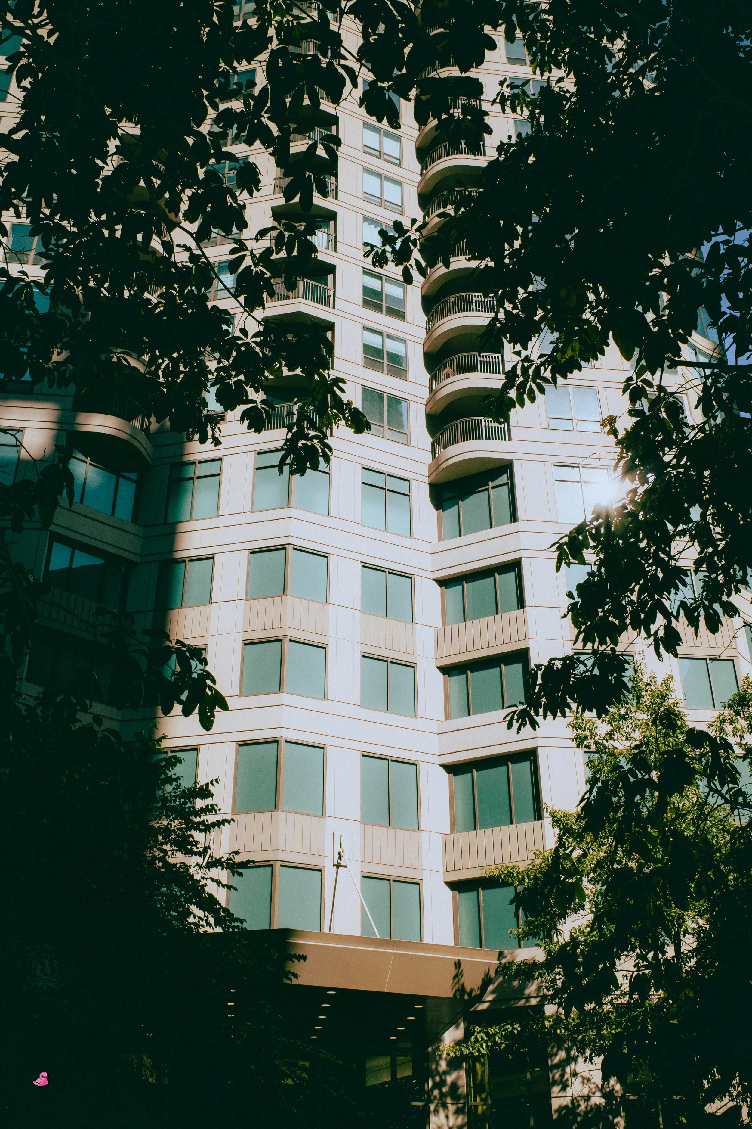 _R000827.jpg