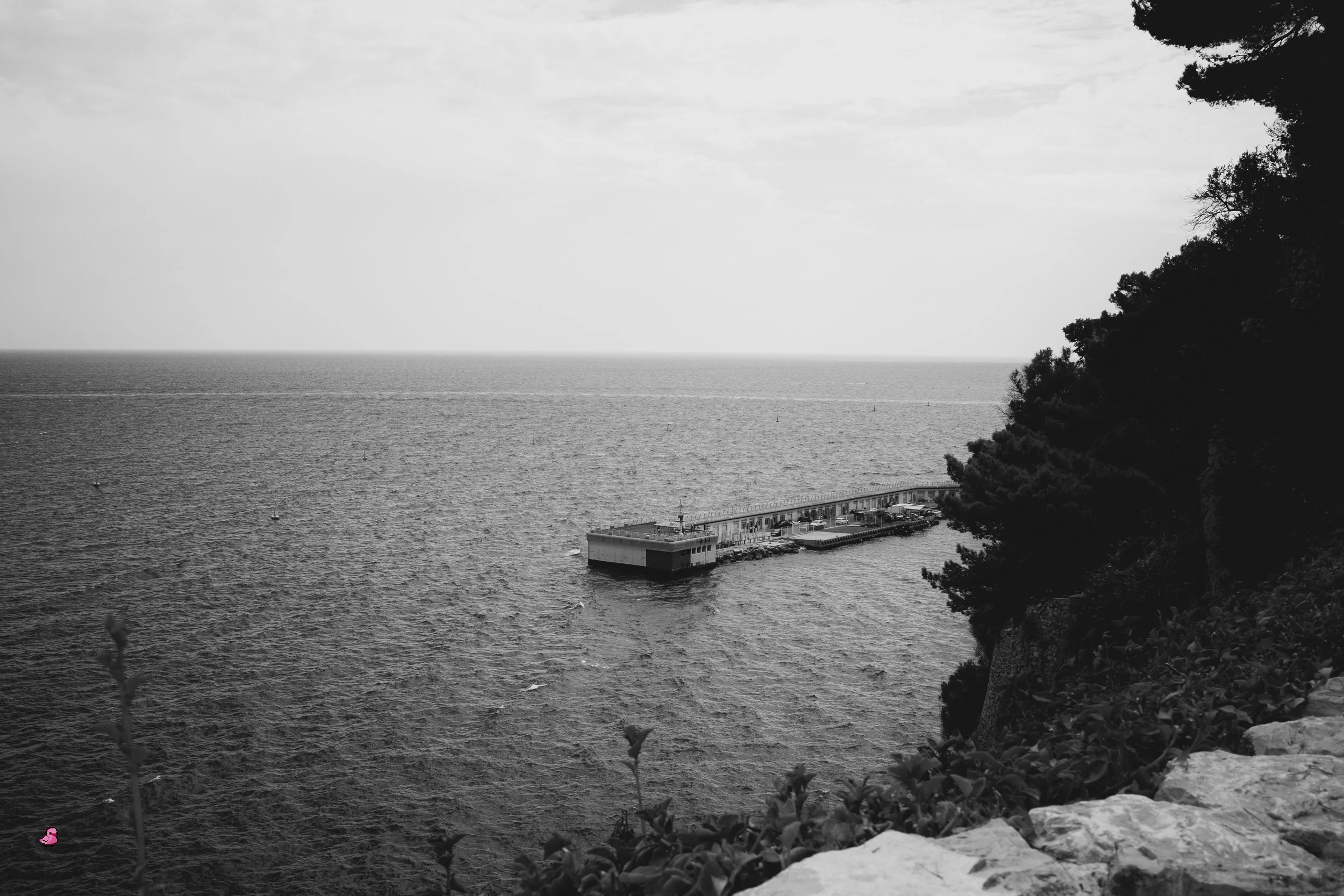 _R000437.jpg