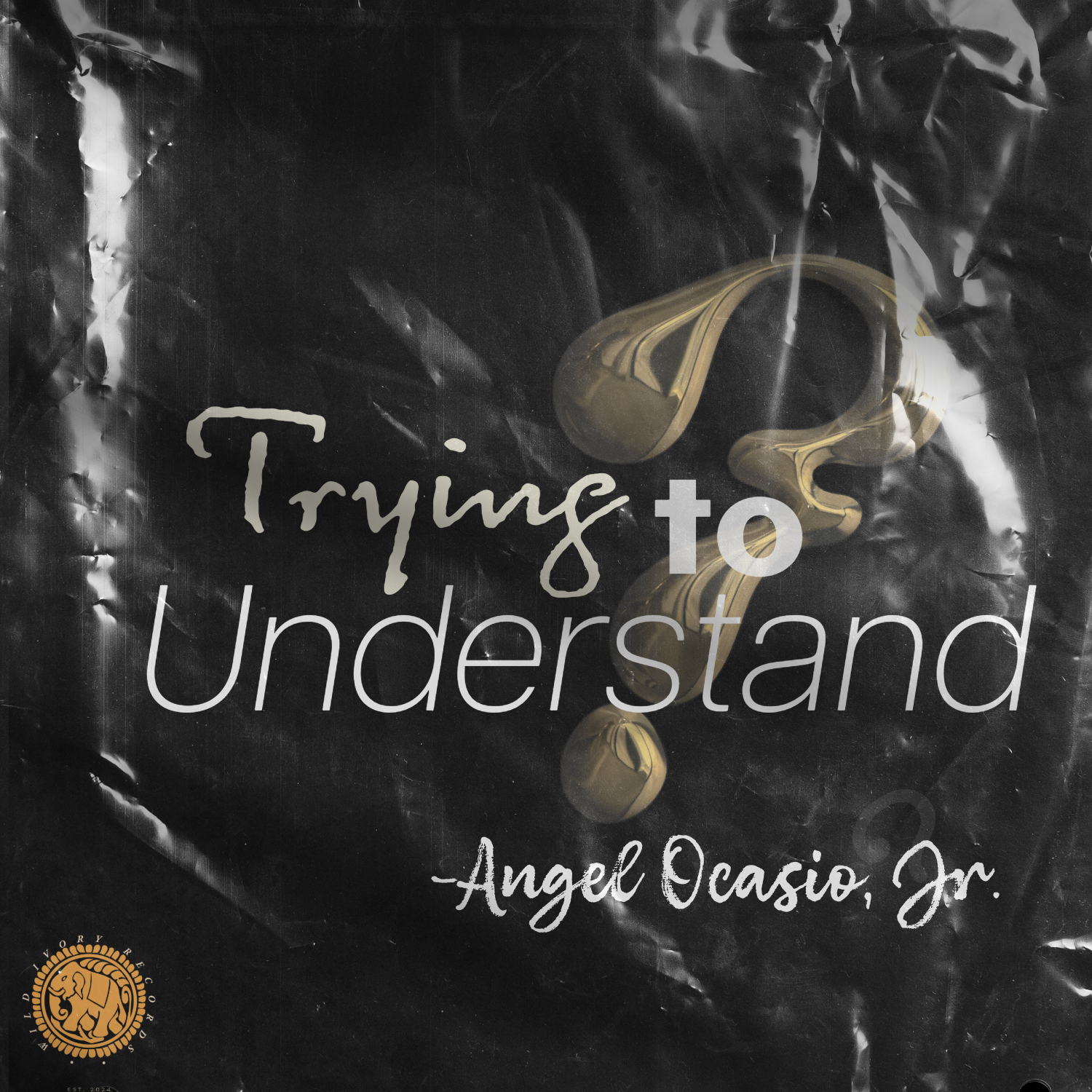Trying to Understand Cover - August 07, 2025 at 21.27.12.png