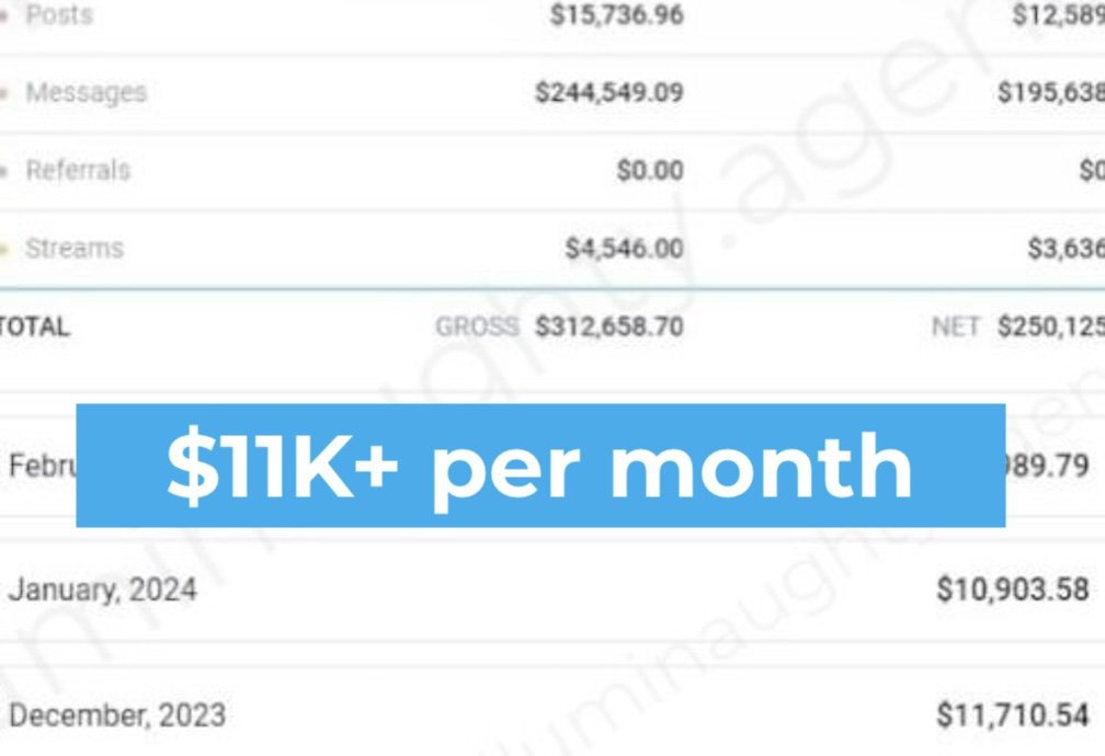 A screenshot of financial data showing income figures, with a blue overlay text saying "$11K+ per month."
