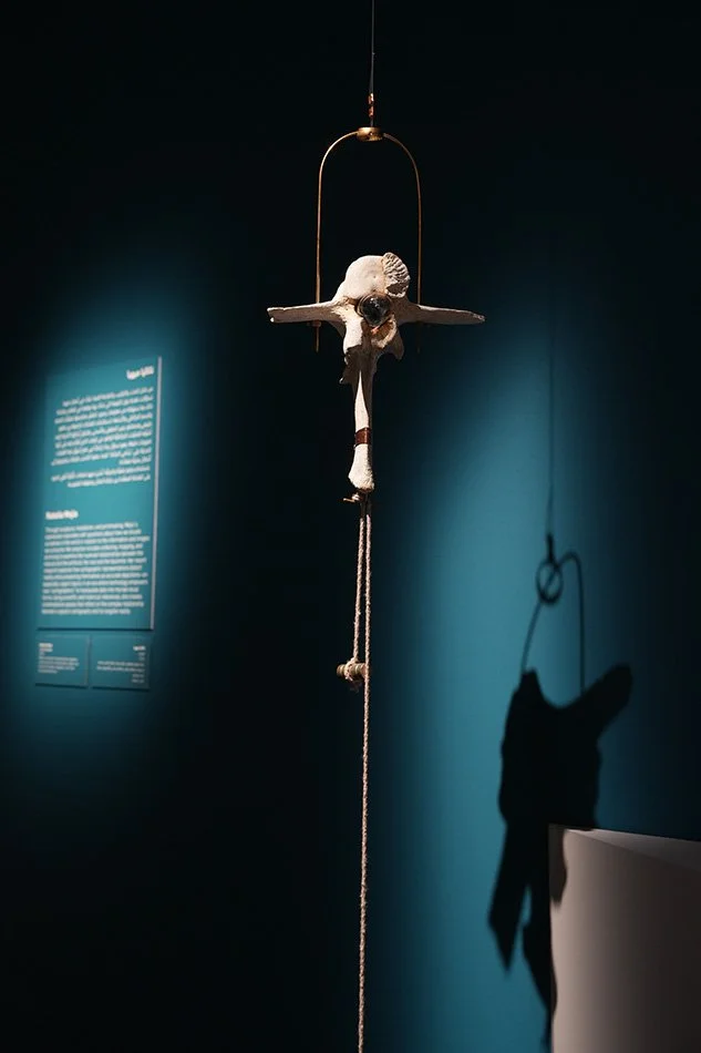 2Coll_18.jpg