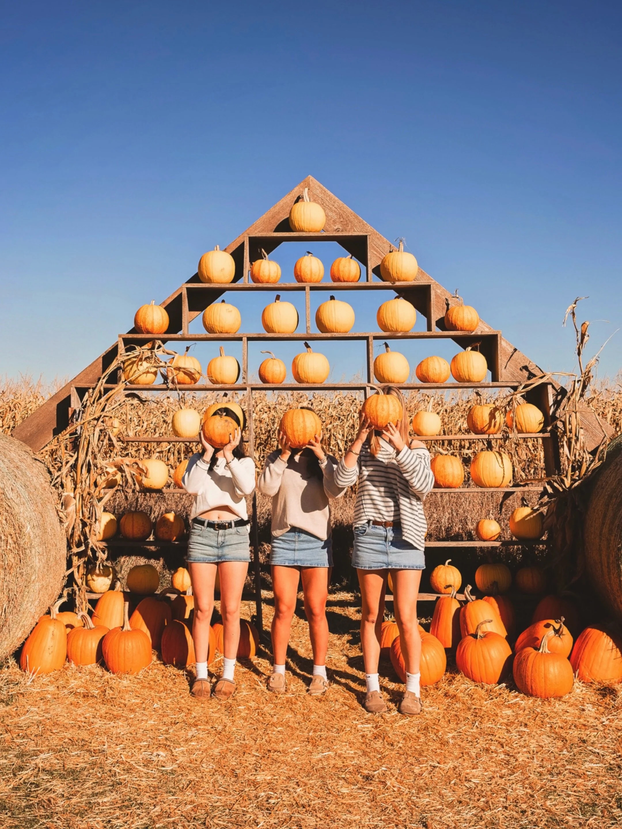 Pumpkin patch, fall colours, and sweet memories! 🎃🍂🤎

A little fall photoshoot at our local pumpkin patch with my Livvy and her friends from school.

The giggles, the friendships, the endless laughs, and all the fun that comes with being a teenage