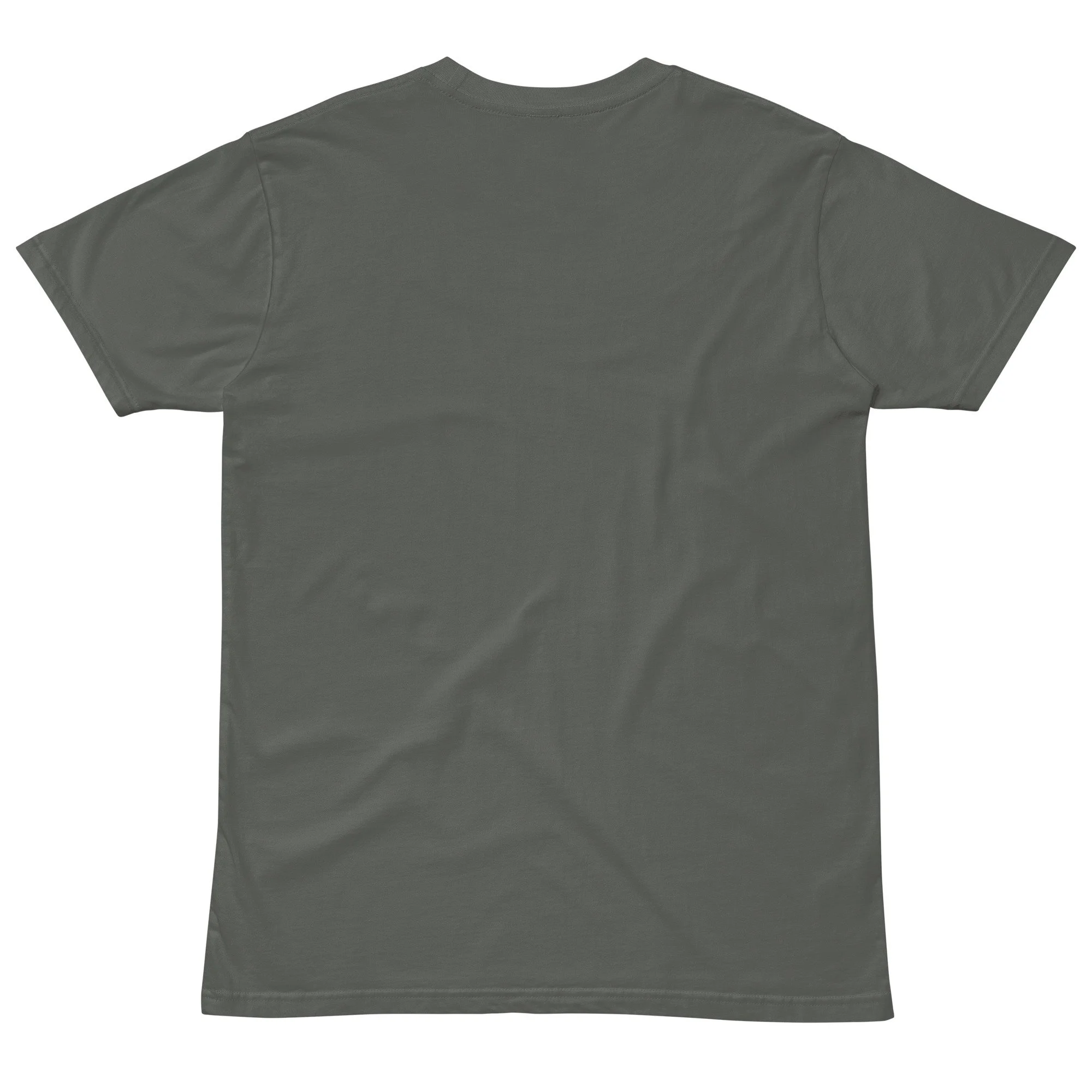 unisex-premium-t-shirt-charcoal-back-687a83670044f.jpg