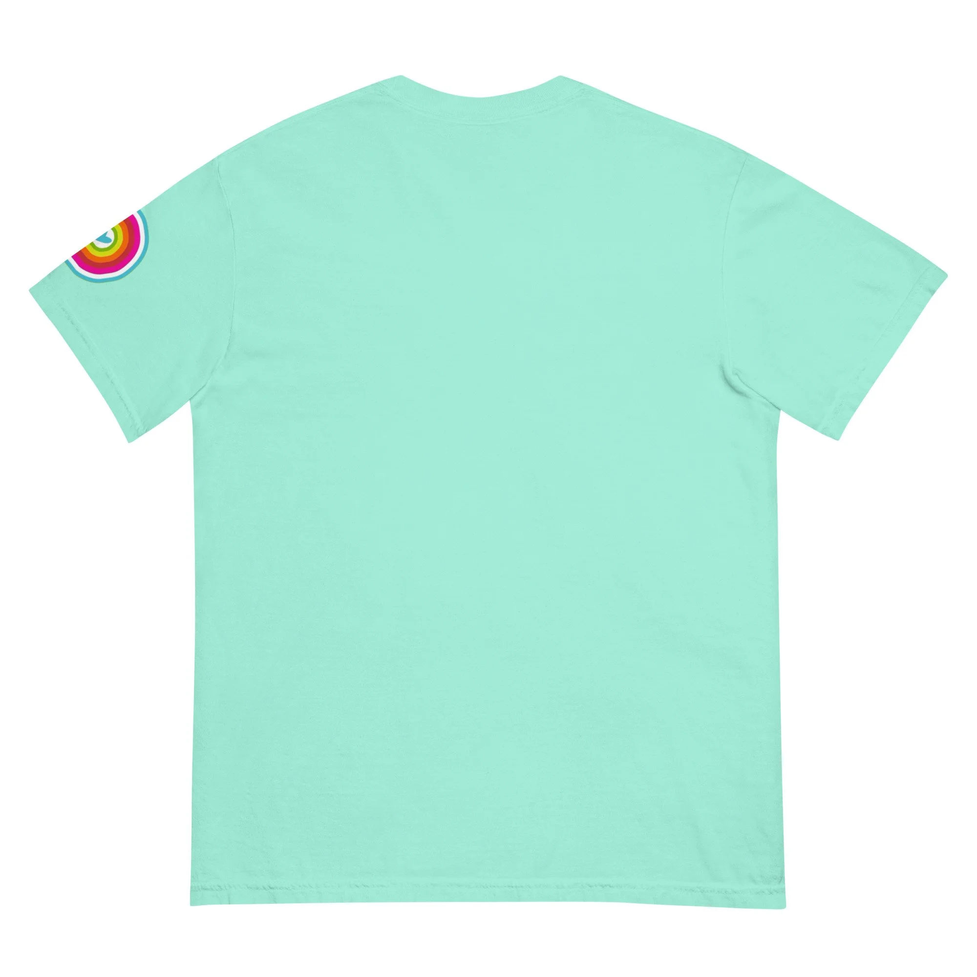 unisex-garment-dyed-heavyweight-t-shirt-chalky-mint-back-687d0827b3ad4.jpg