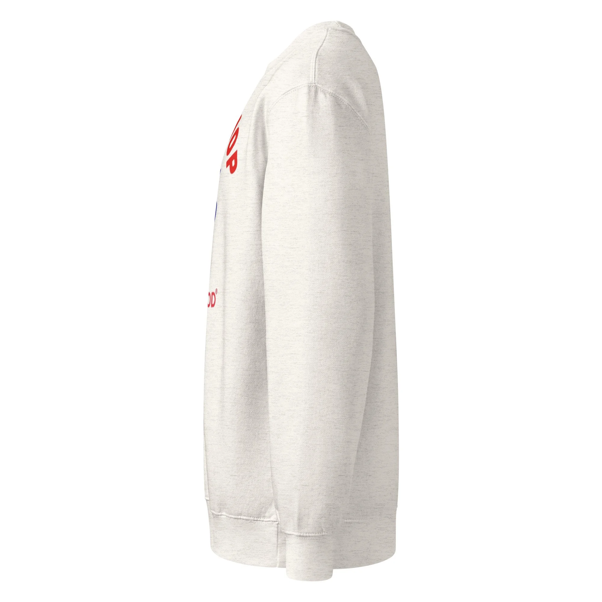 unisex-premium-crew-neck-sweatshirt-oatmeal-heather-left-688a1fe15e740.jpg