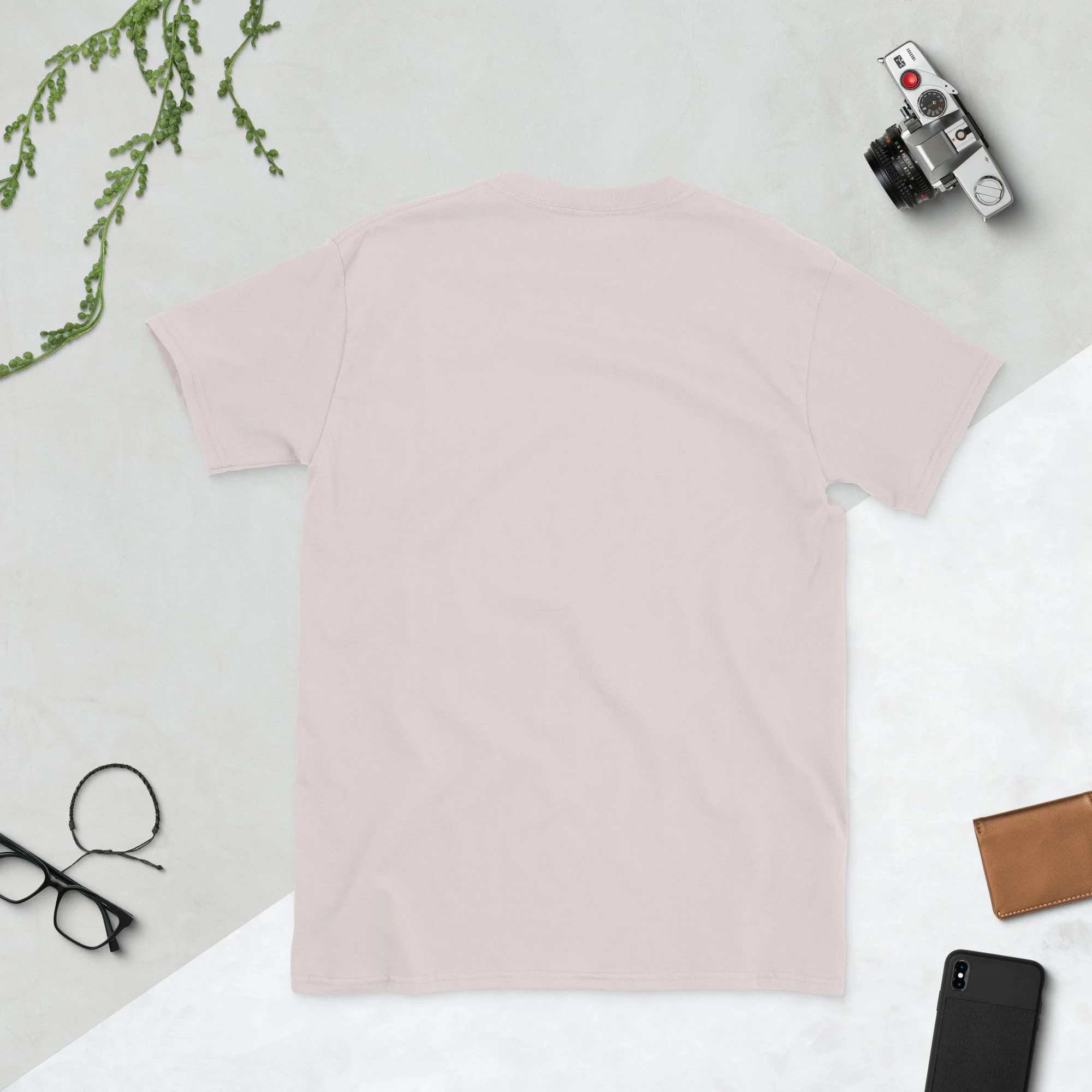 unisex-basic-softstyle-t-shirt-ice-grey-back-688f85b5d8ac5.jpg