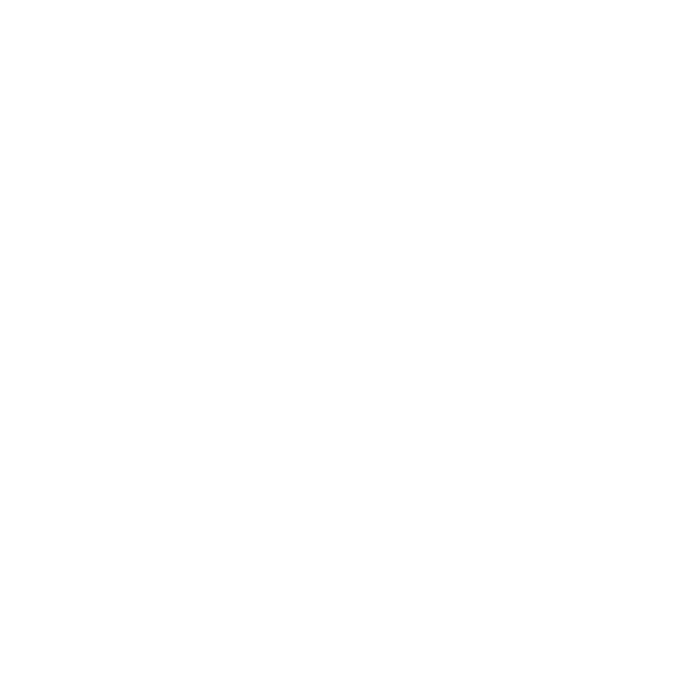 Max Chen's Portfolio