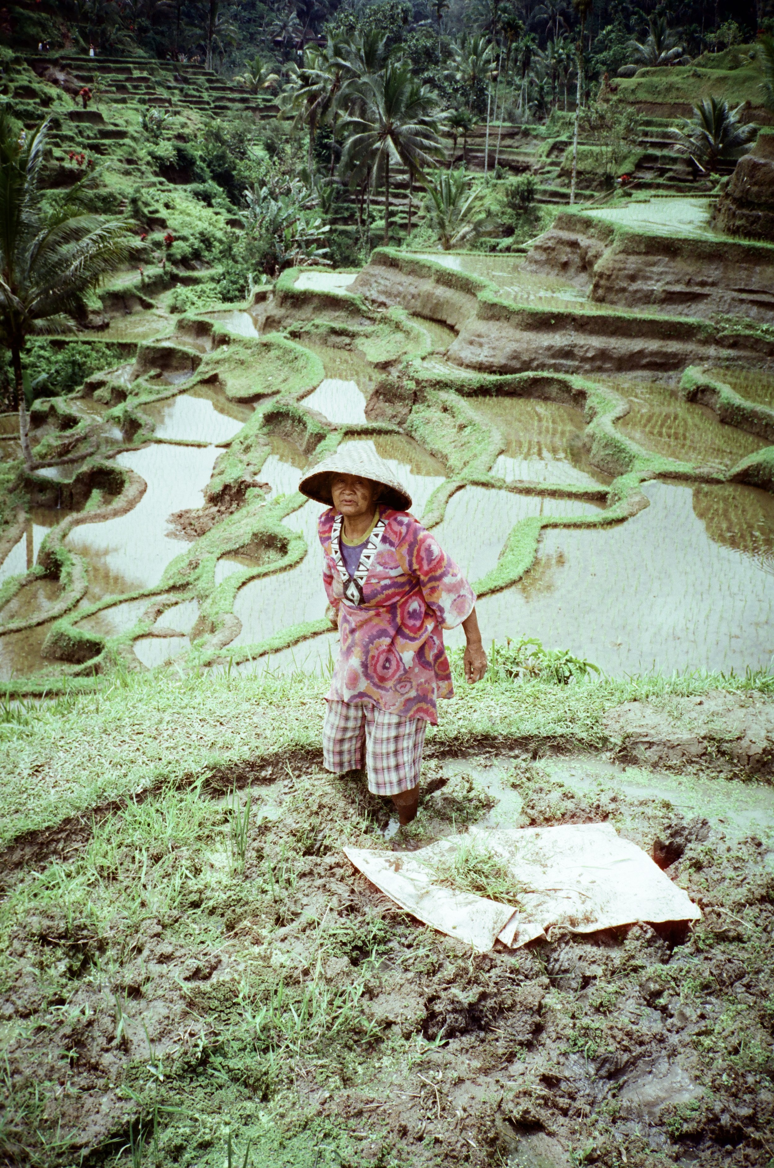 BALI