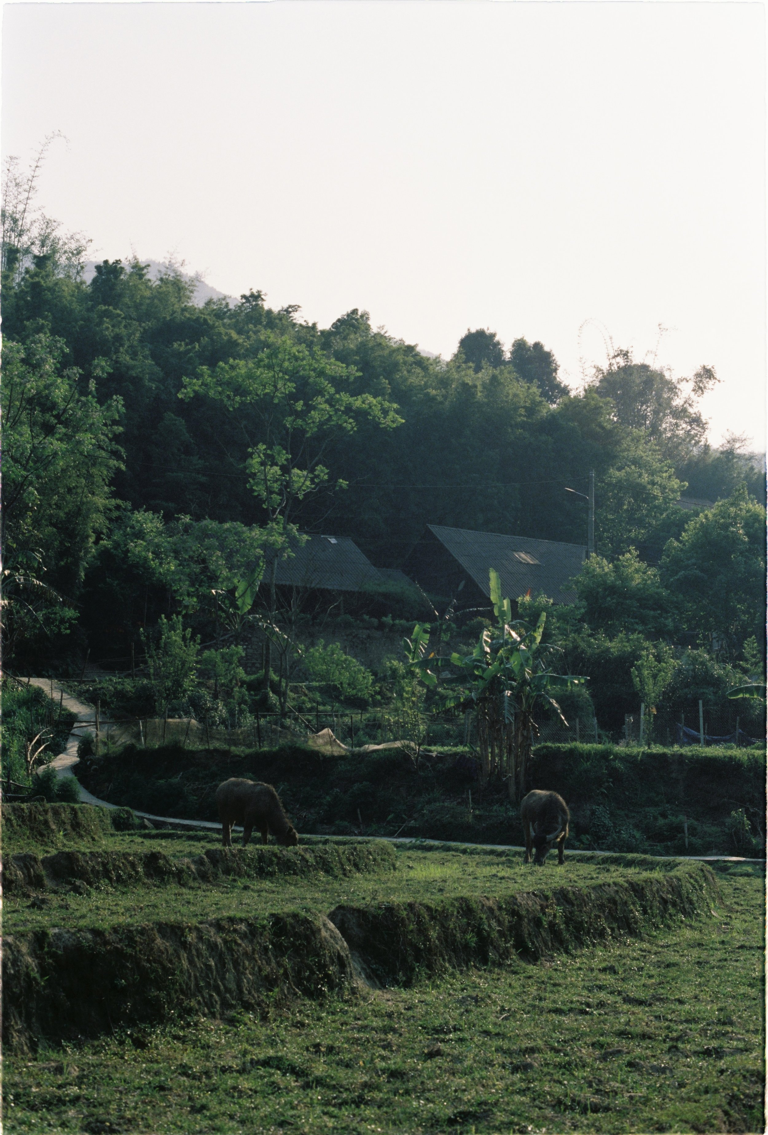 VIETNAM