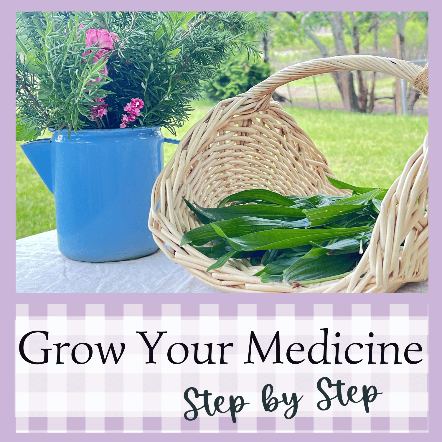 Planning Your Apothecary Garden: Step-by-step For Beginners