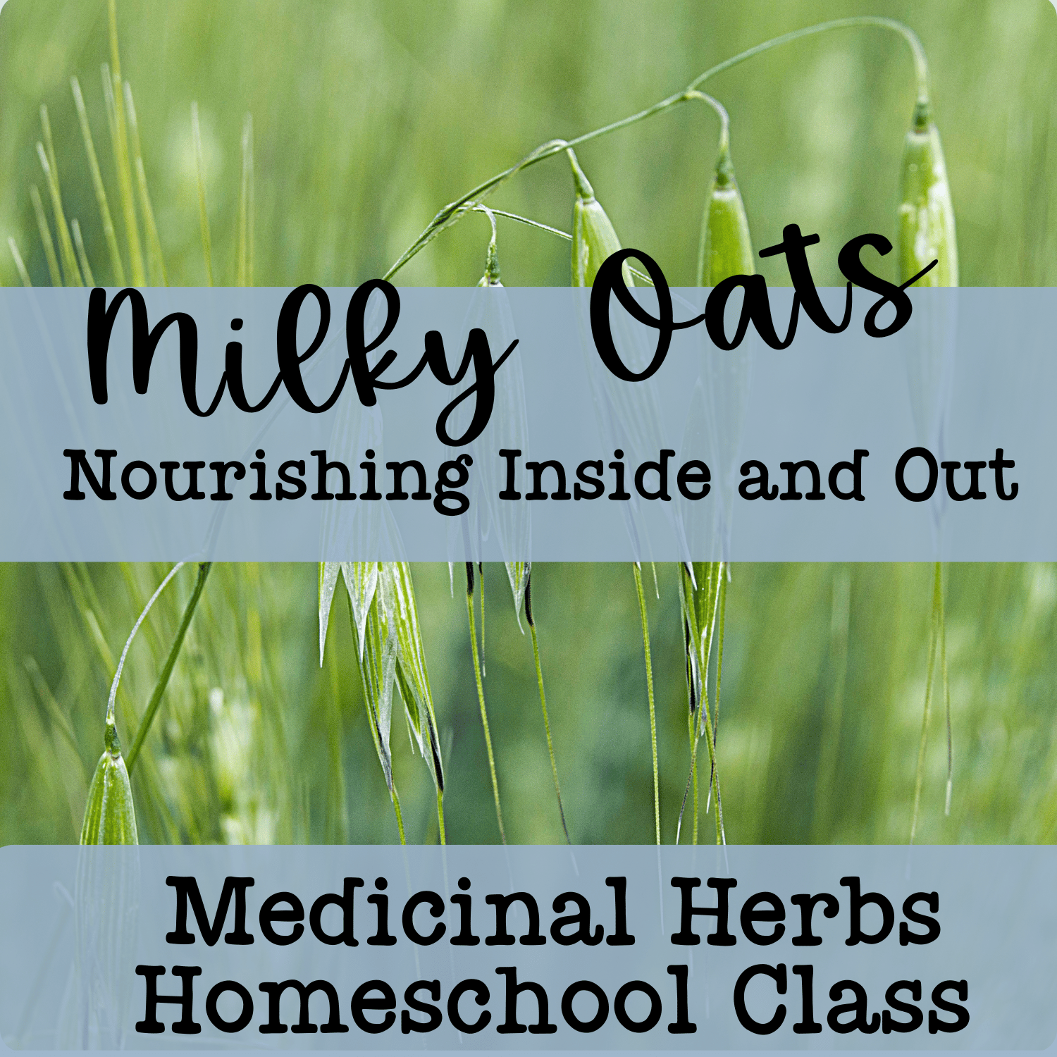 April 3- 1pm Homeschool Herbalism Class