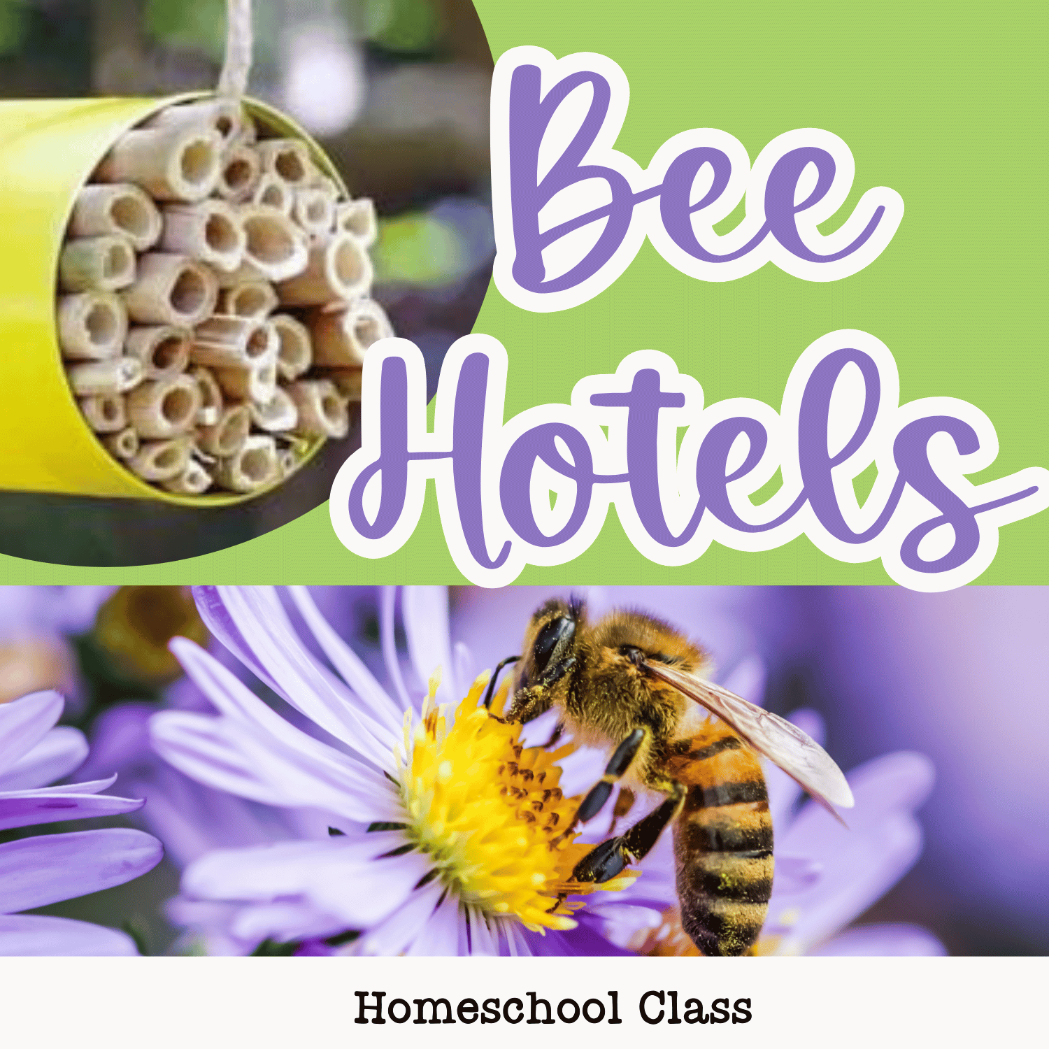 April 17- 1pm Homeschool Class