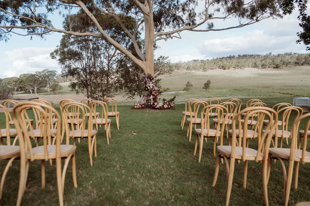 Outdoor wedding ceremony setup with bentwood chairs facing a tree adorned with floral installations.
