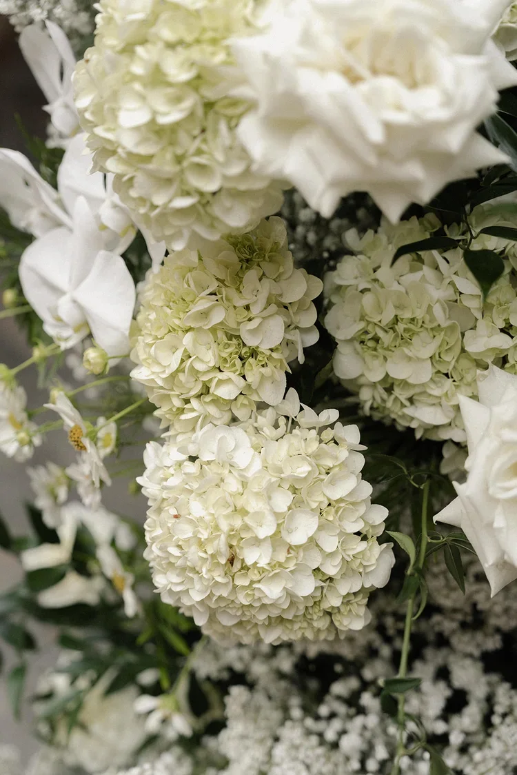 Detailed close-up of lush white hydrangeas and roses from the ceremony floral arch arrangement.