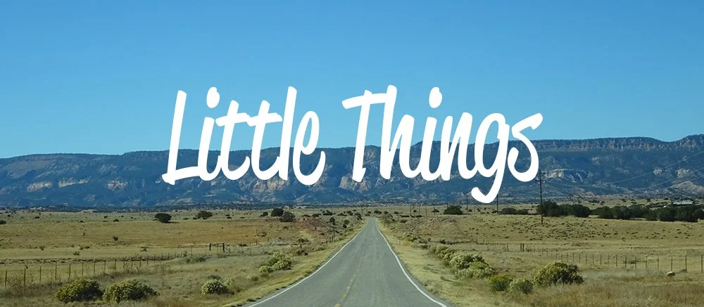 Little Things Videos - Revival