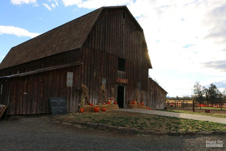 PNW_Barn-Pumpkin-Patch-768x512.jpg