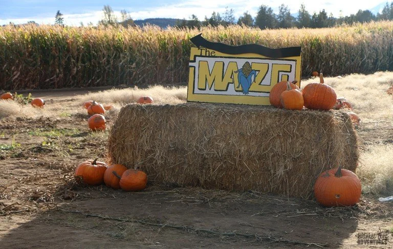 PNW-Maize-Sign-768x488.jpg