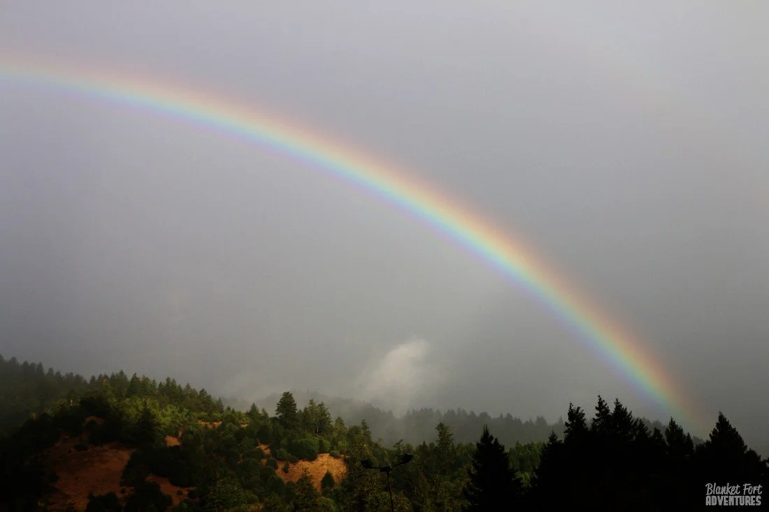 N. CA: Drive Thru Tree, Redwoods & Rainbows!
