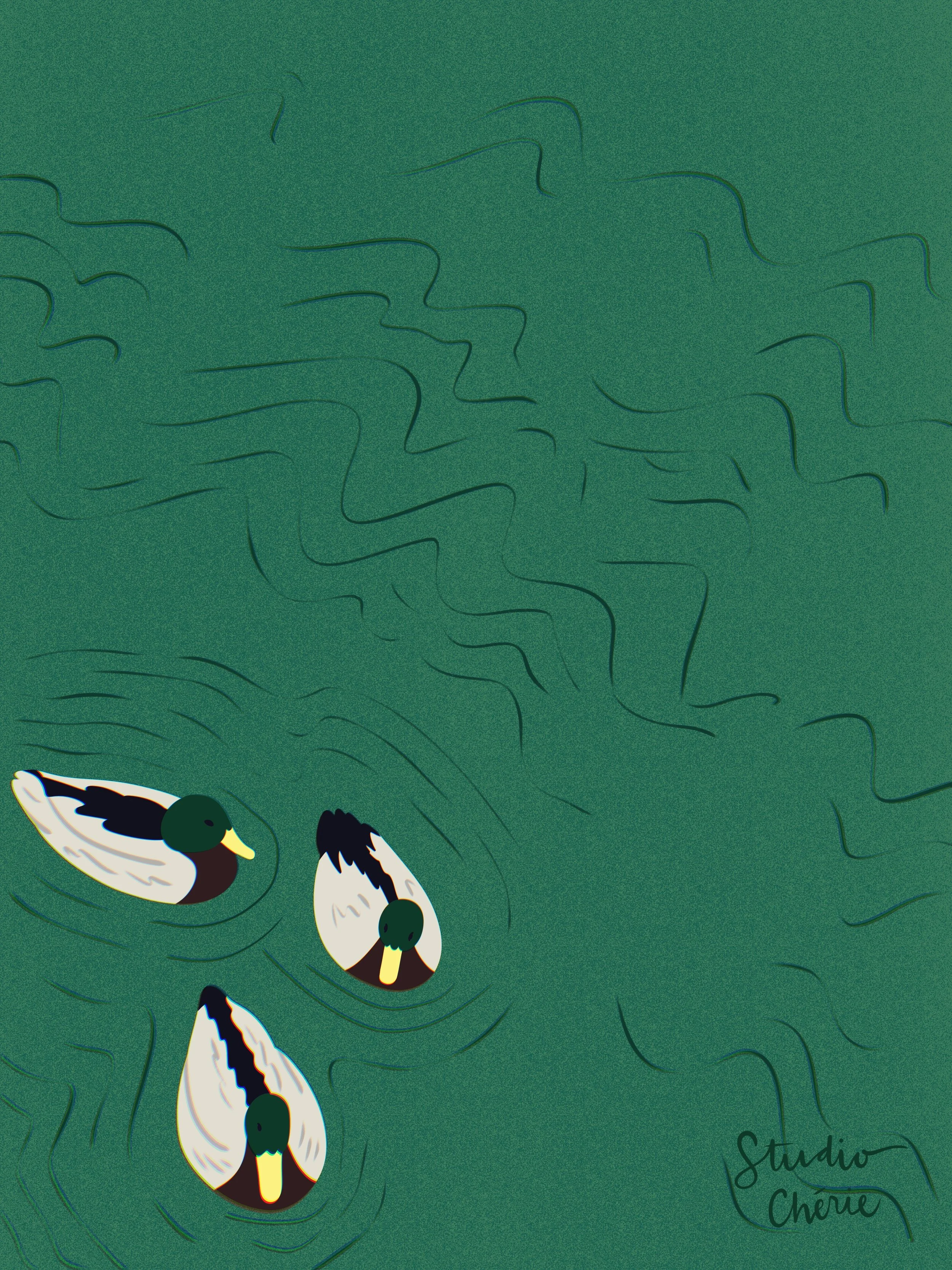 Mallards_Swimming_Windy.jpg
