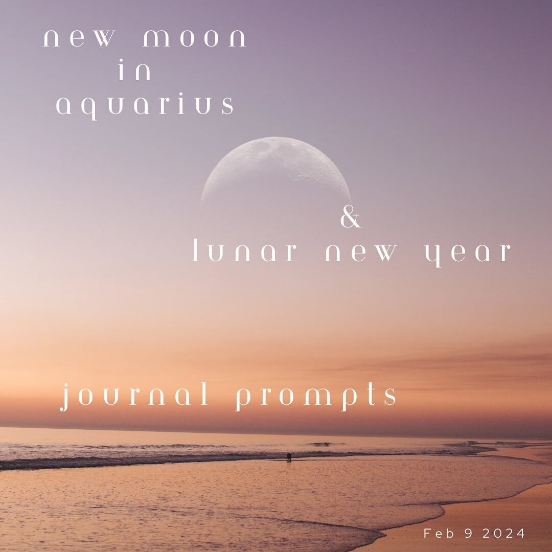 Welcome to the New moon in Aquarius also the Lunar New Year
**Long Post ALERT but it&rsquo;s a juicy one**

This is the energy of the ACTUAL new year
New moon in Aquarius is teaching us how we can be the painters of our reality.
Fighting for wha