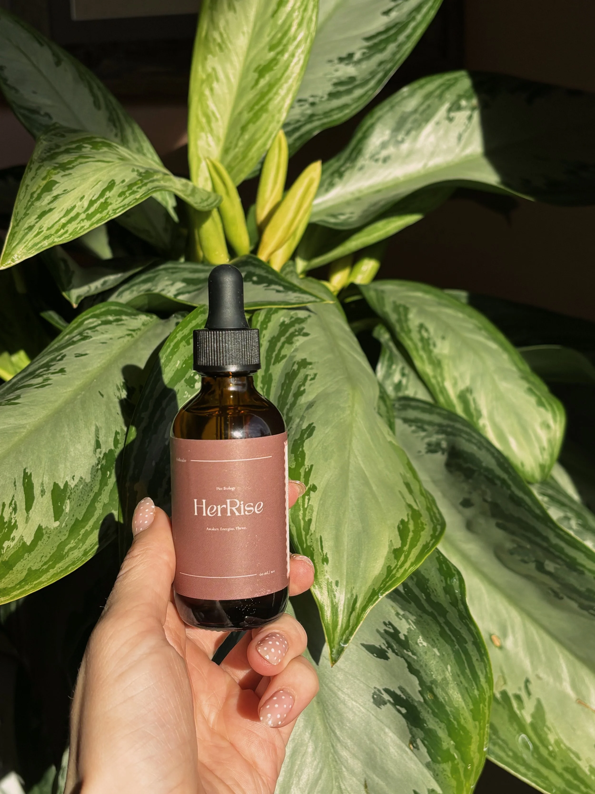 HerRise Extract