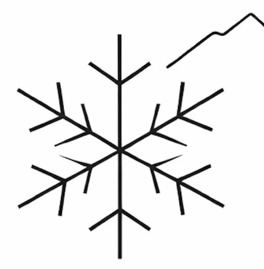 STELLAR - Women in Snow &amp; Avalanche Science