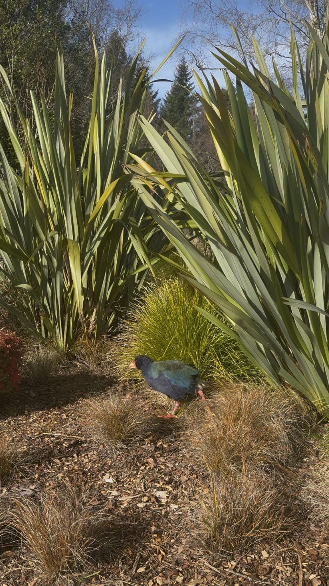 Screenshot 2025-11-25 at 10.01.32 AM.png