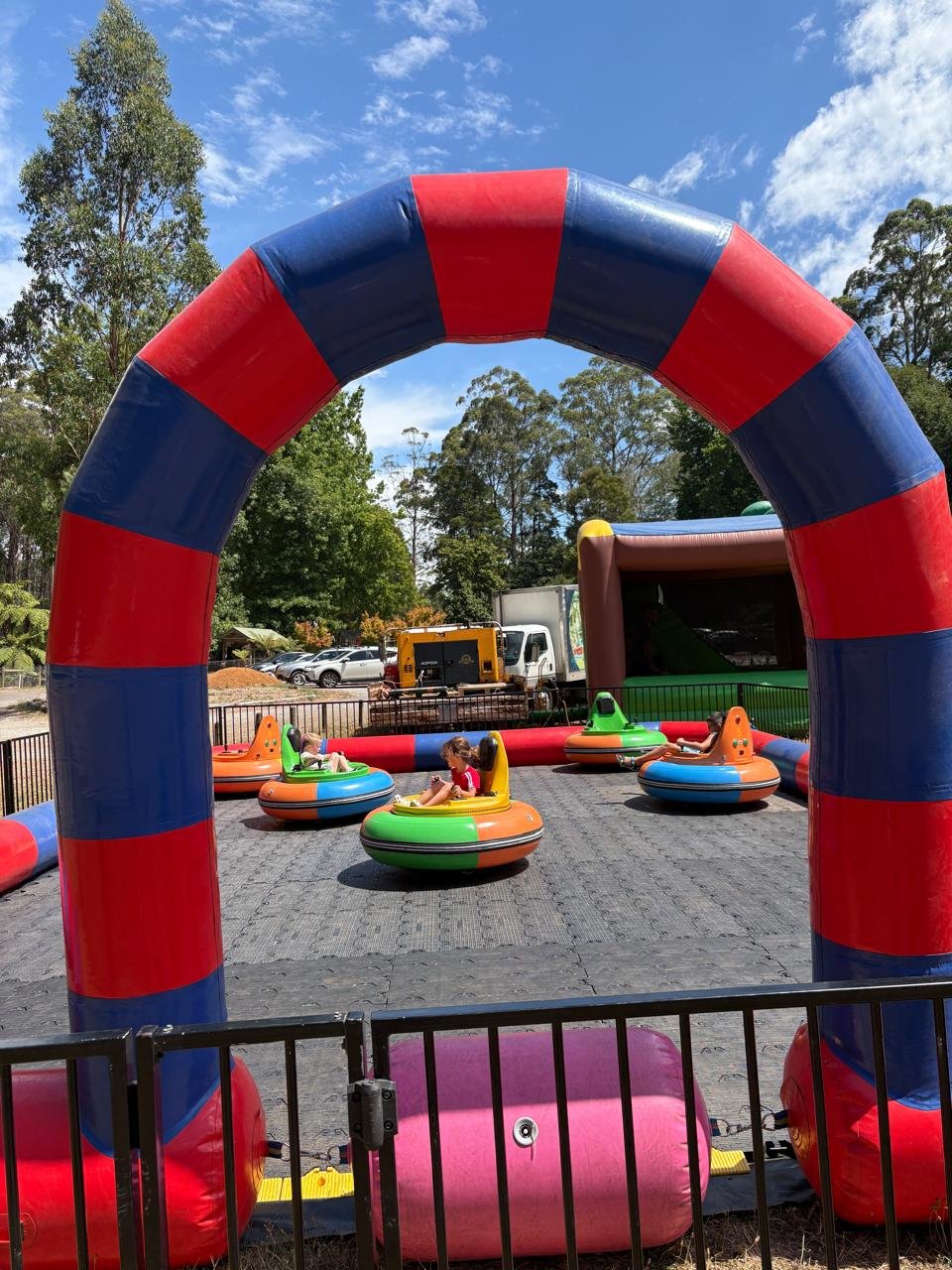 2026 Picnic (131).jpeg