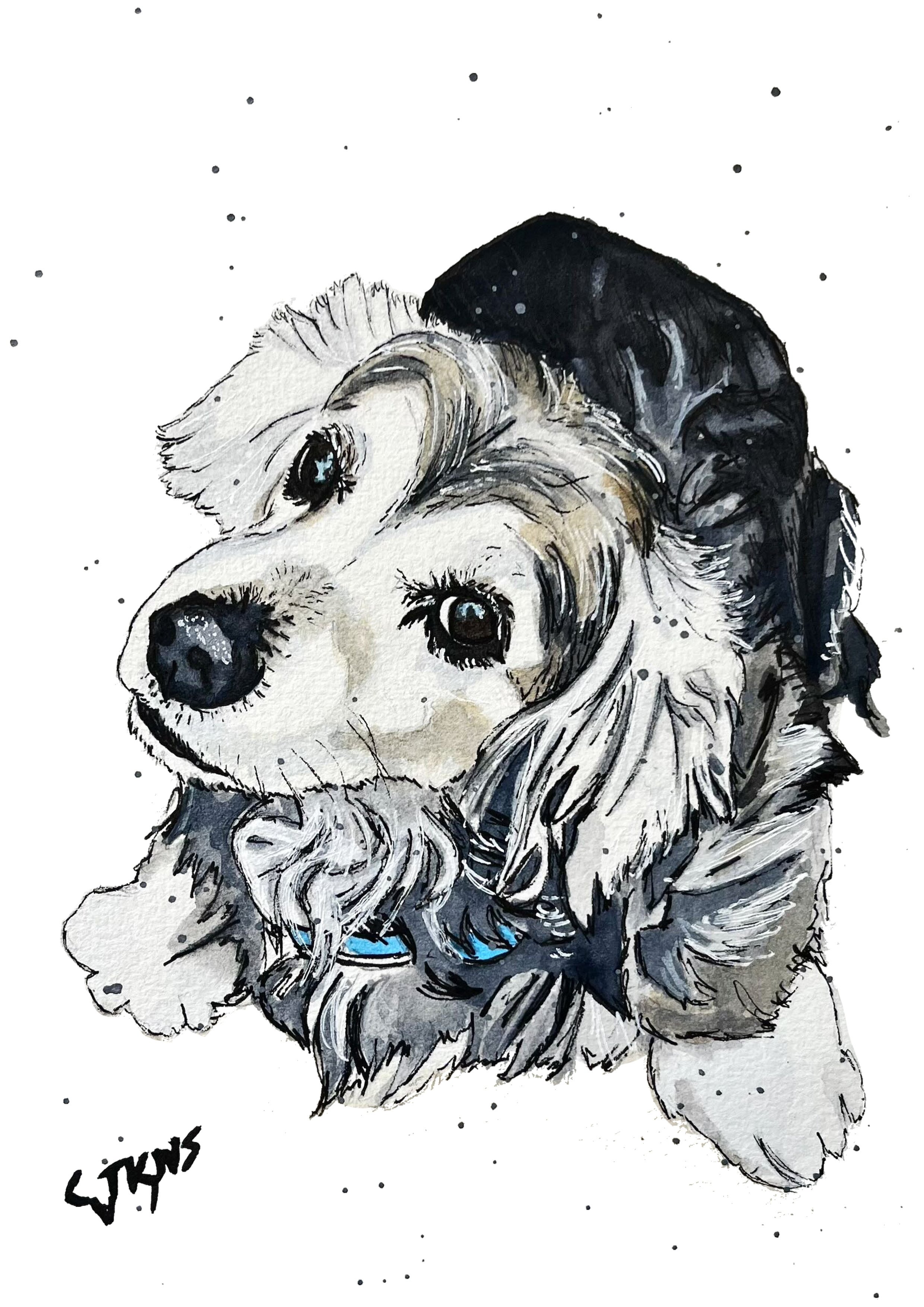 dog1.jpg