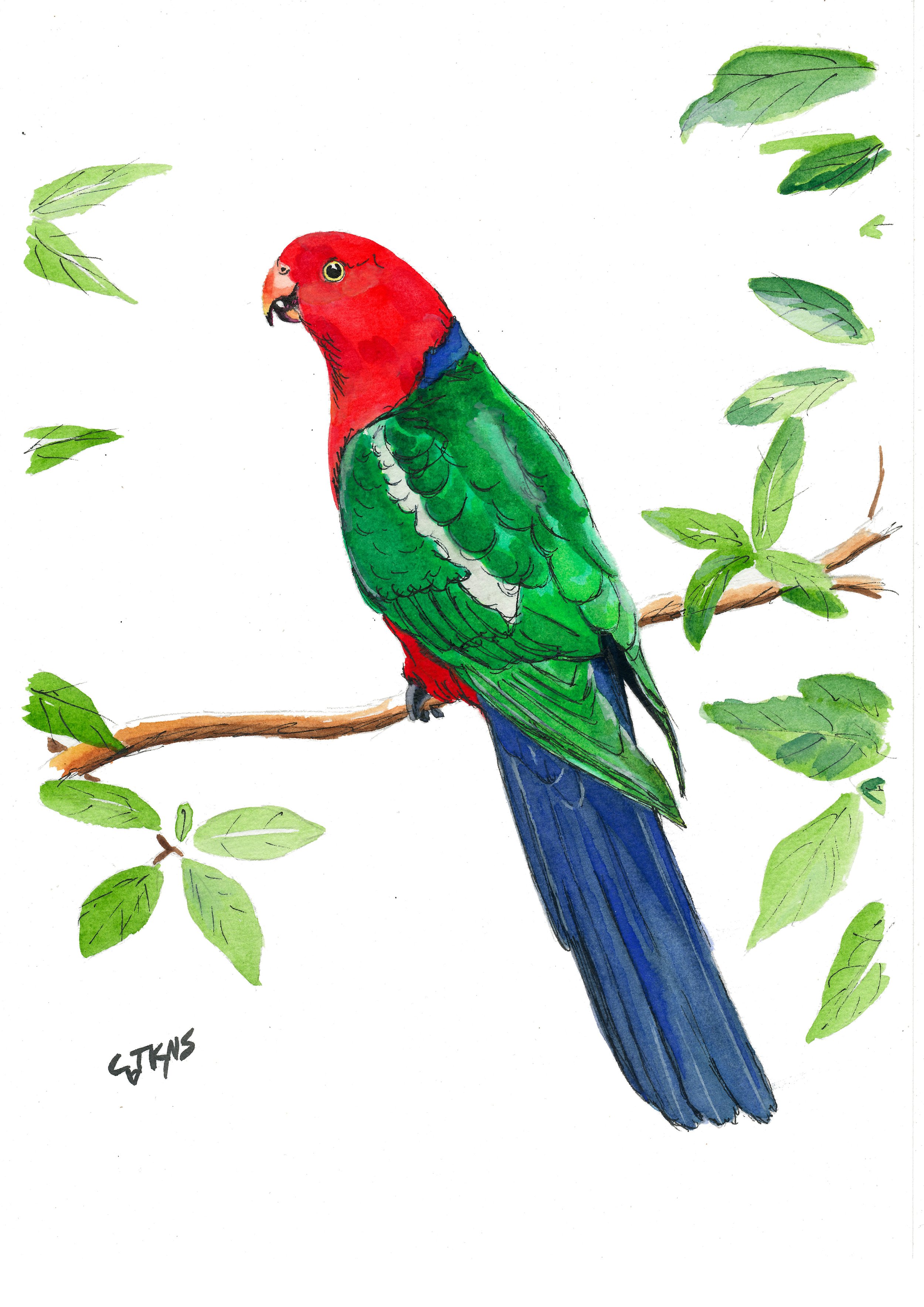 webbird05.jpg