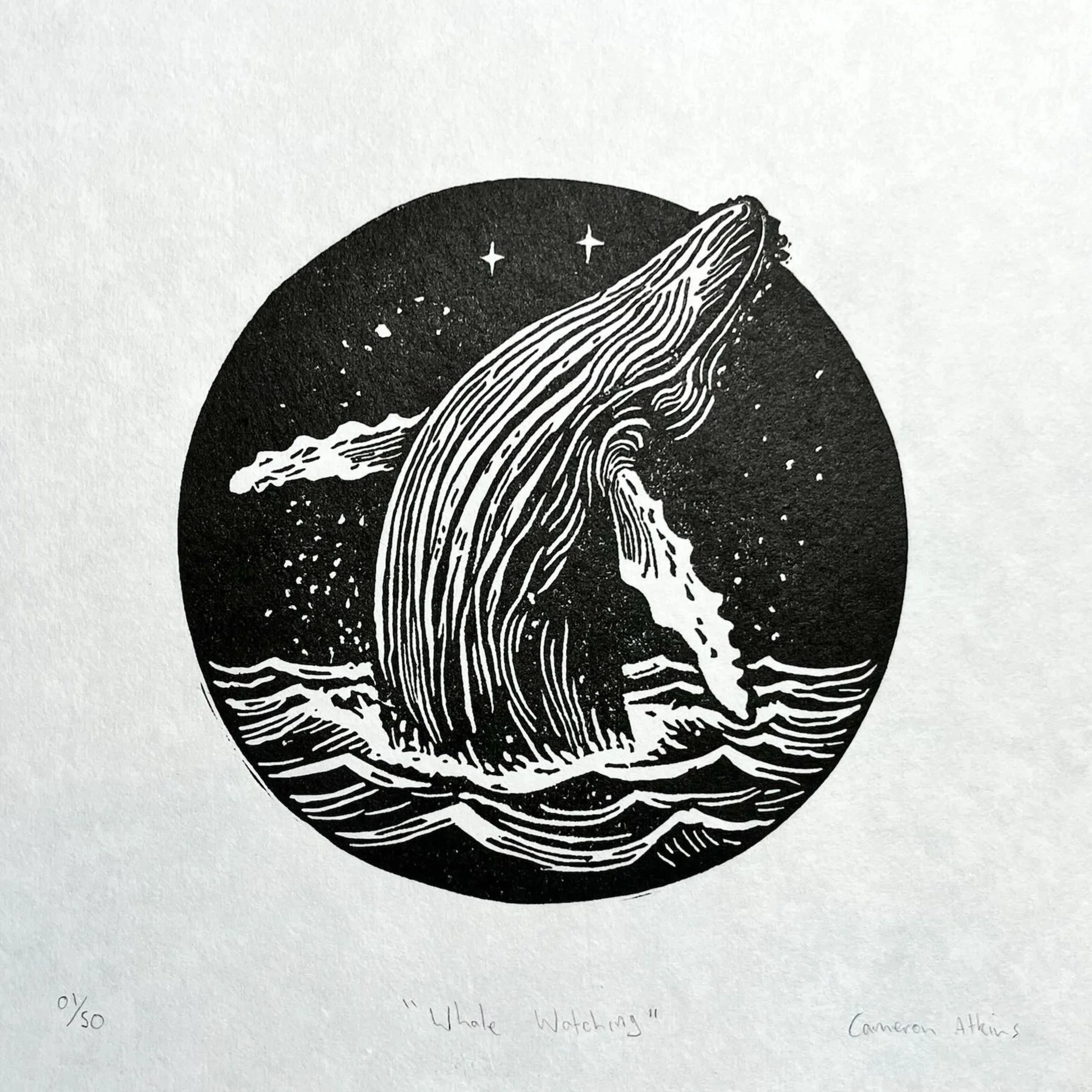 Whale Watching