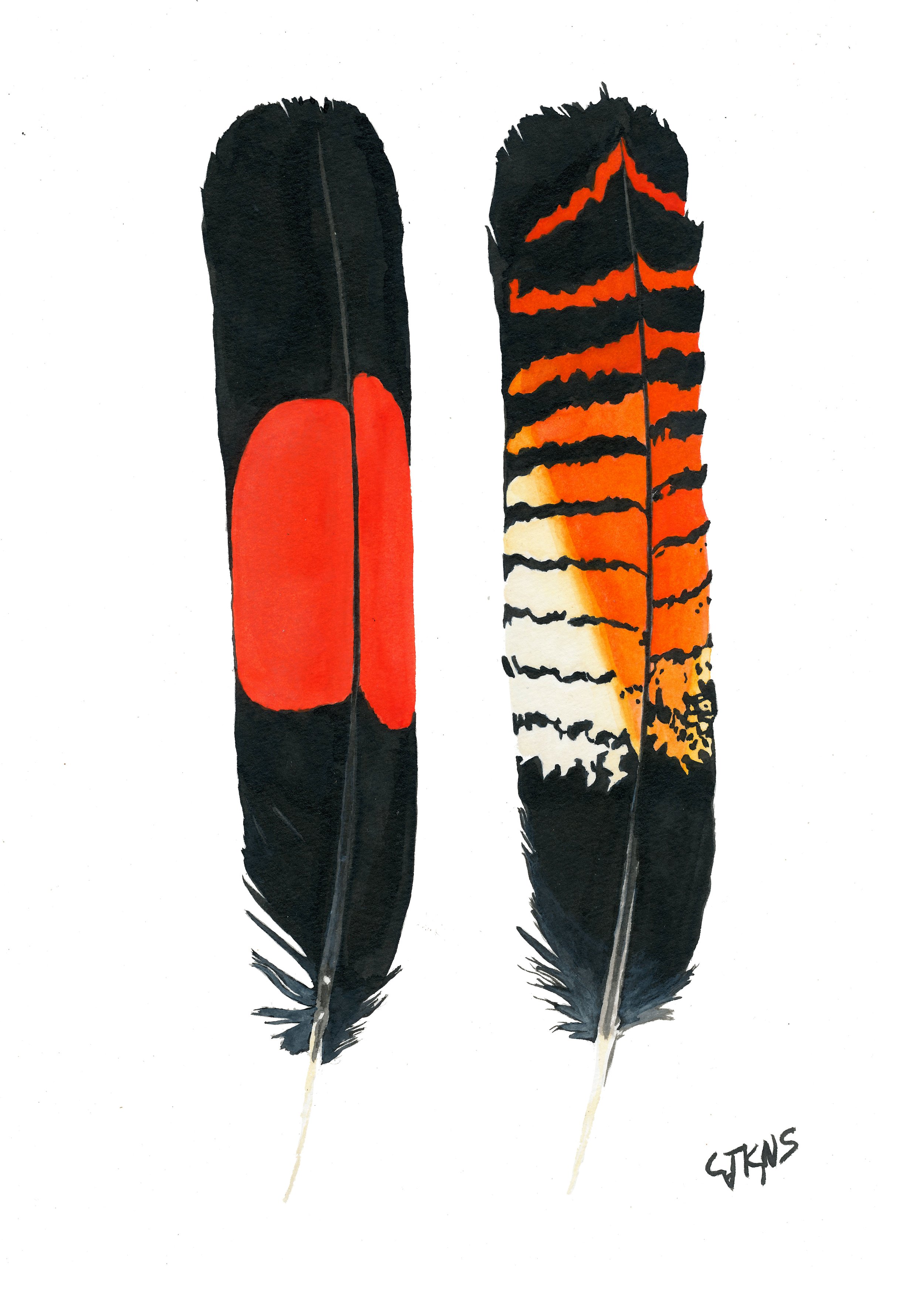 webfeathers.jpg