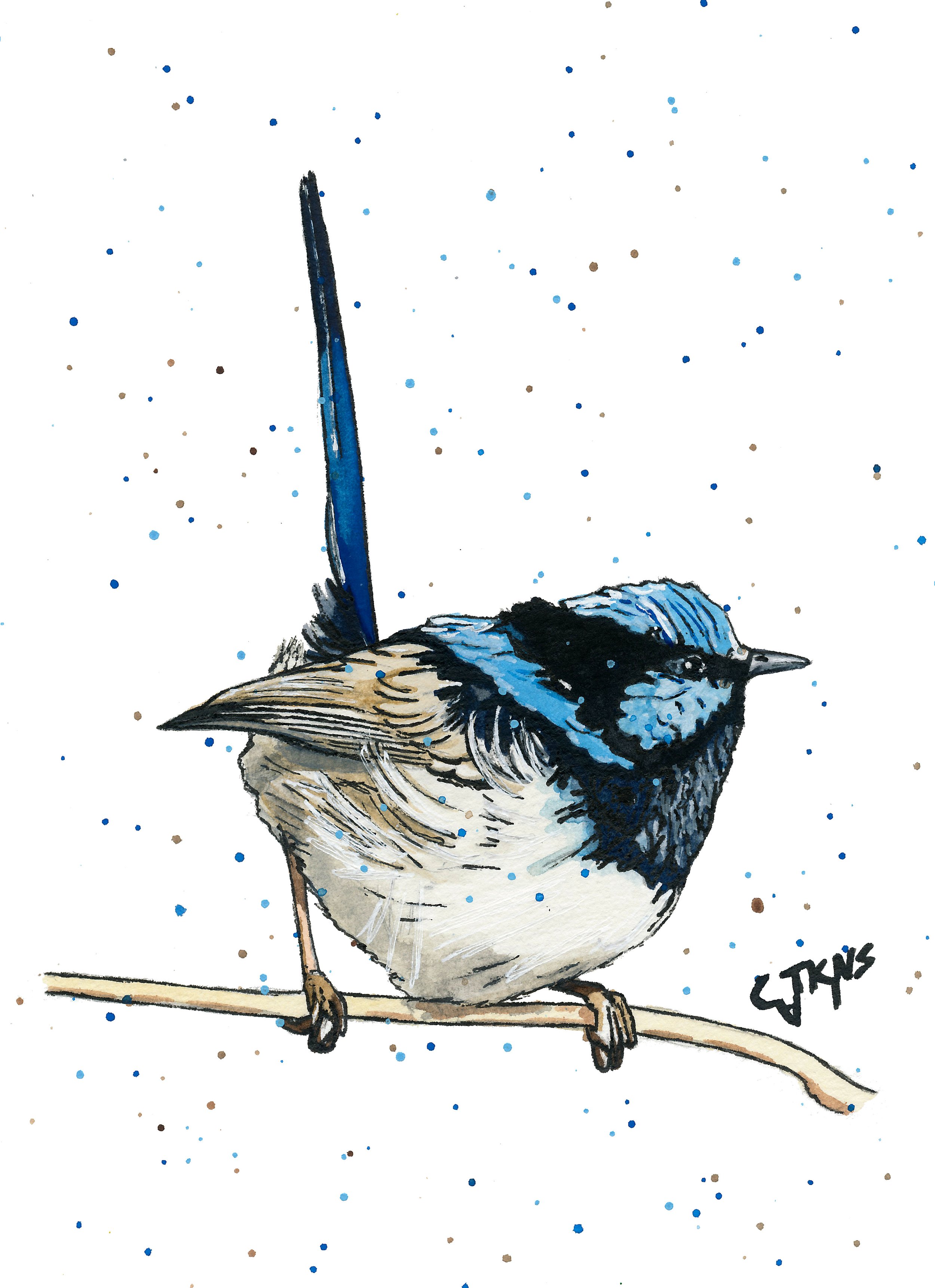 wren2.jpg