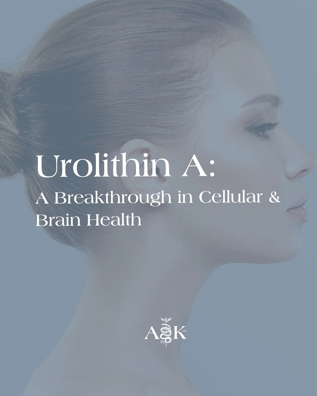 Mitochondrial health plays a crucial role in how our brains age. Urolithin A, a compound made by gut bacteria from certain foods, helps clear out damaged mitochondria and supports the brain&rsquo;s ability to stay healthy.

It also reduces inflammati