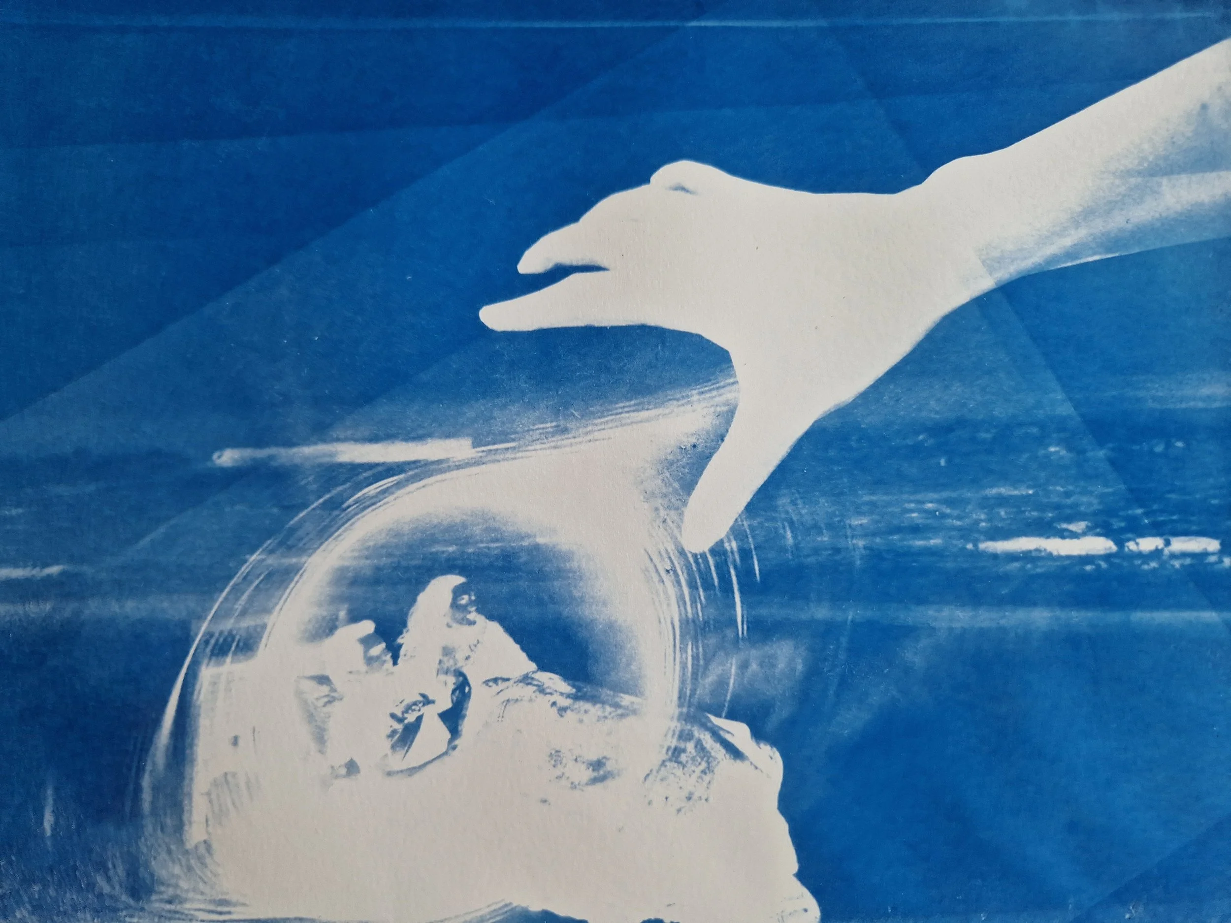 estelle_cyanotype_28oct.jpg (copie)