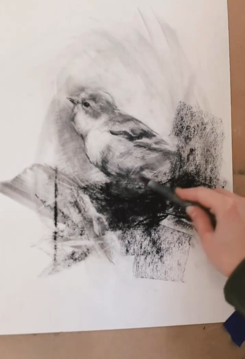 Atelier goûter fusain en pas à pas "oiseau dans son nid" - Samedi 11 avril de 14h00 à 16h30