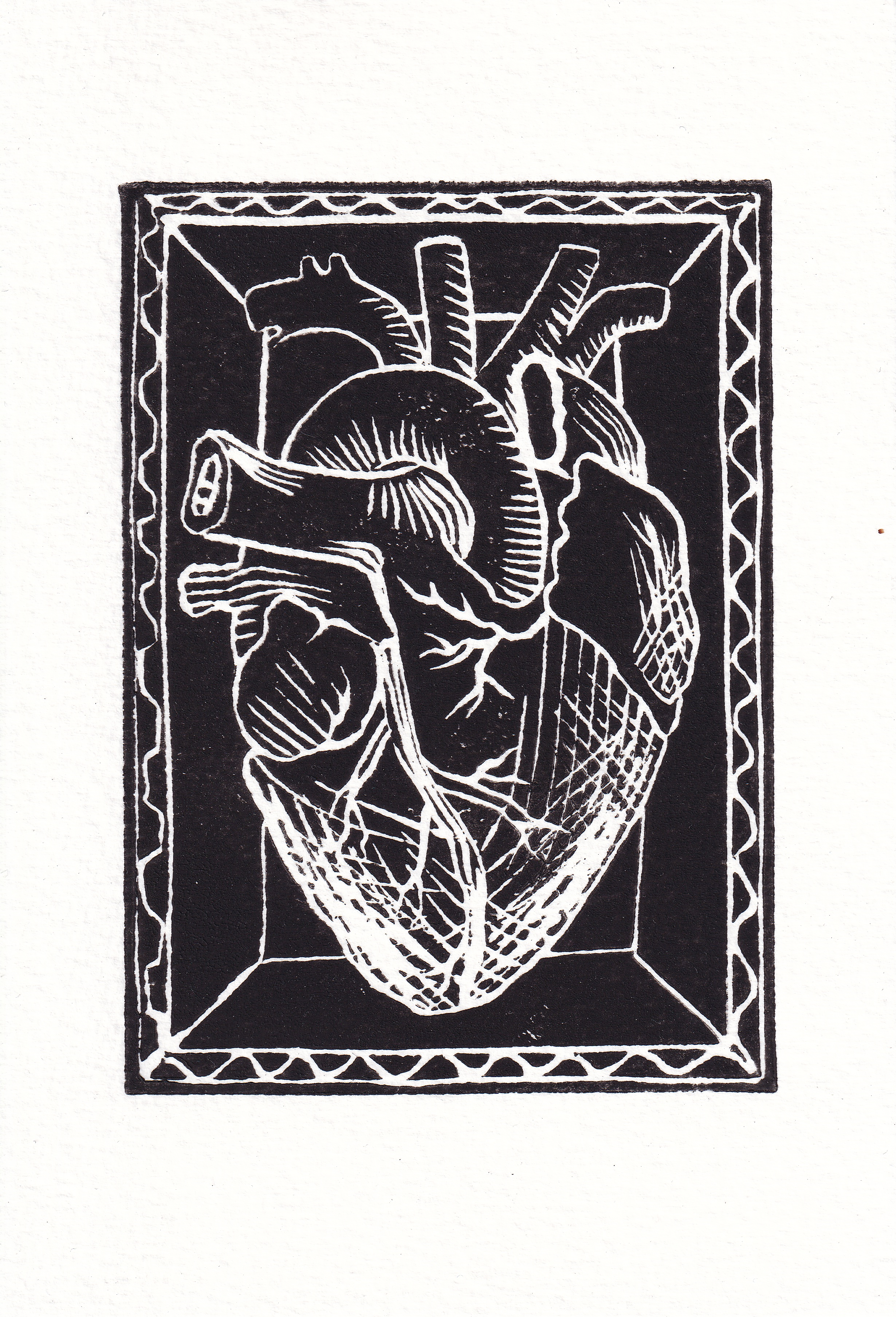 Vi atelier lino à plusieurs .png