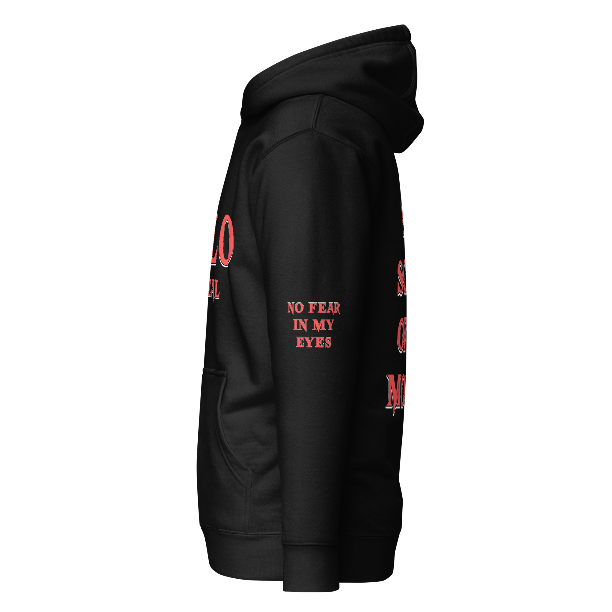 unisex-premium-hoodie-black-left-65ea44e23856a.png