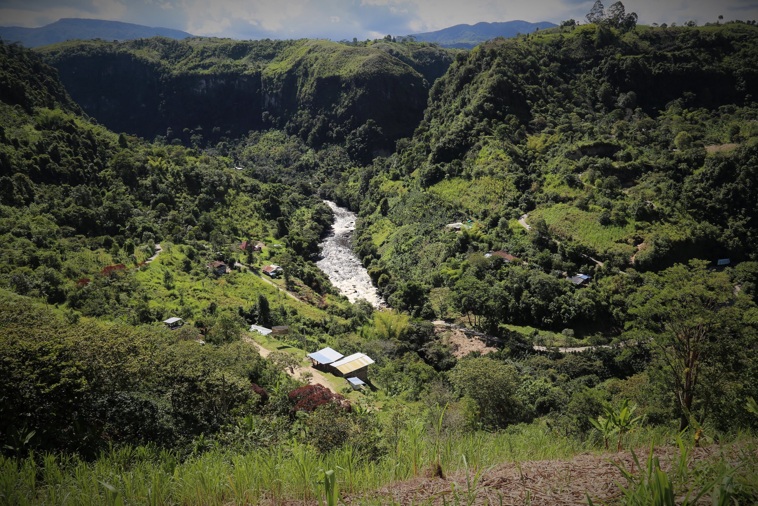 Estrecho_del_rio_Magdalena_-_panoramio (1).jpg