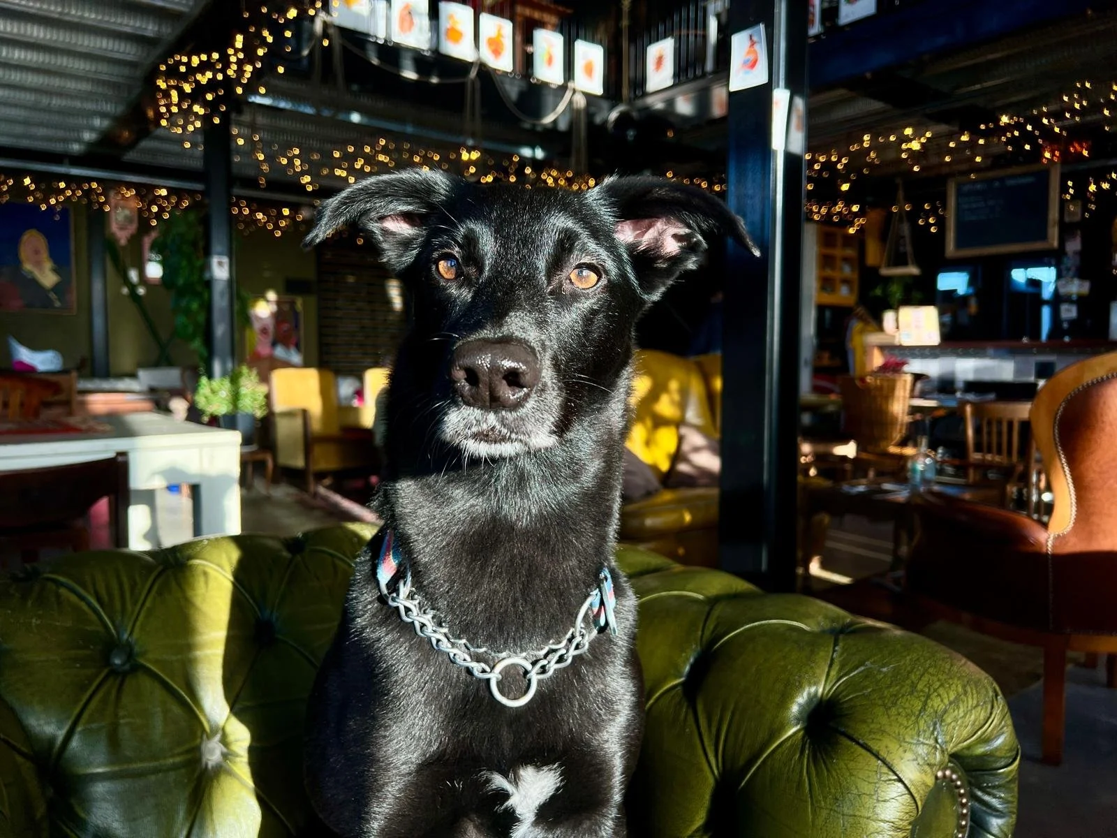 WhatsApp Image 2024-07-31 at 12.19.45.jpeg