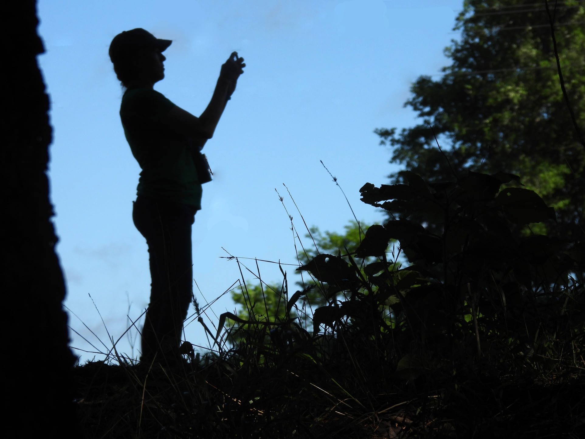Pic - Kerry - Birding at dawn.jpg