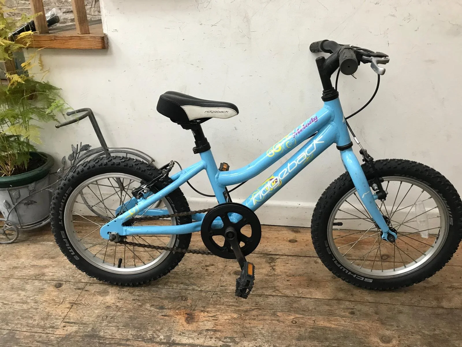 Ridgeback Melody £75