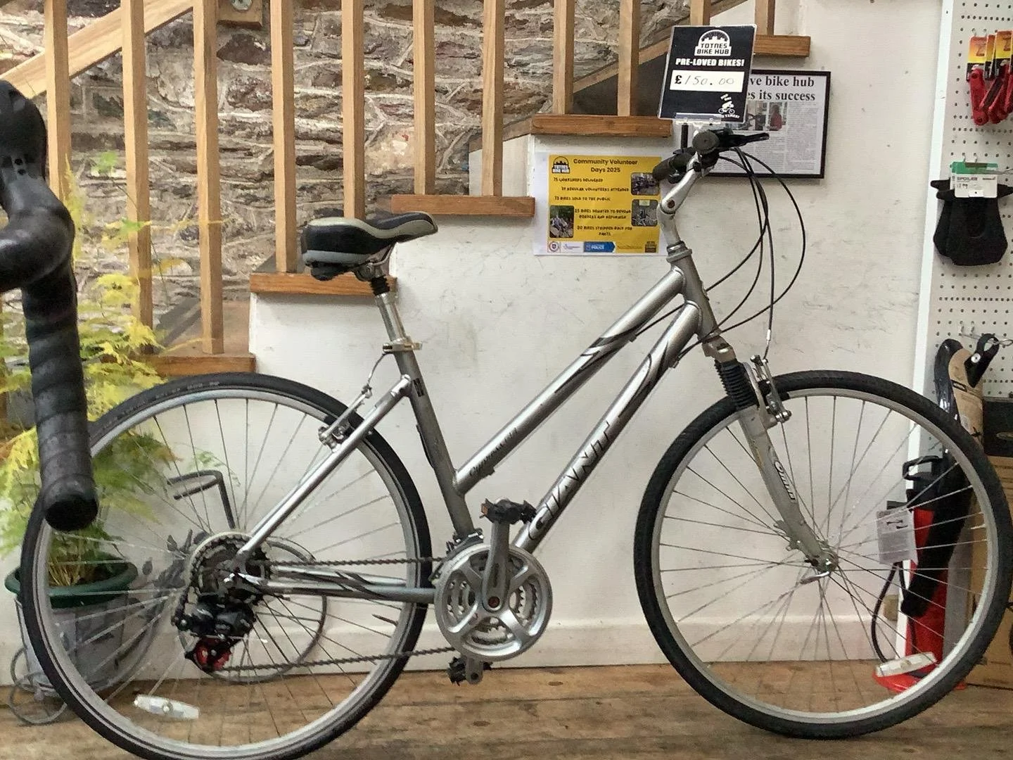 Giant Cypress SE £150