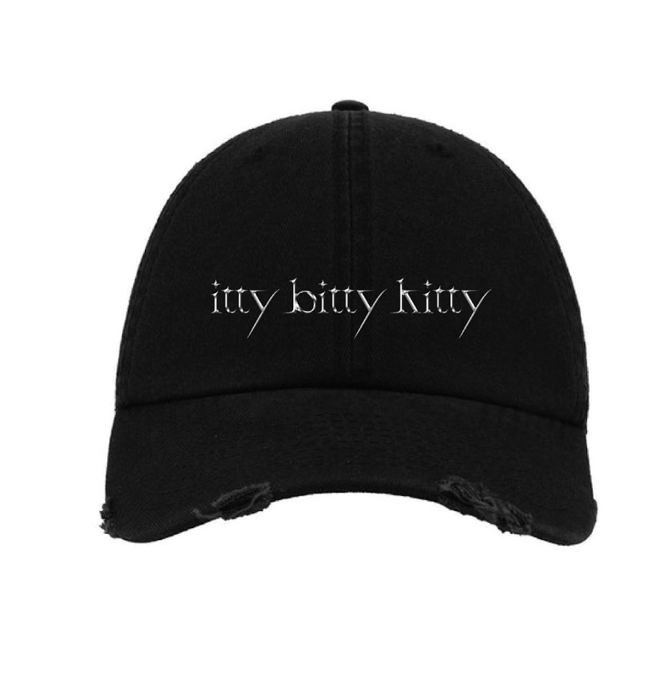 itty bitty kitty .jpg
