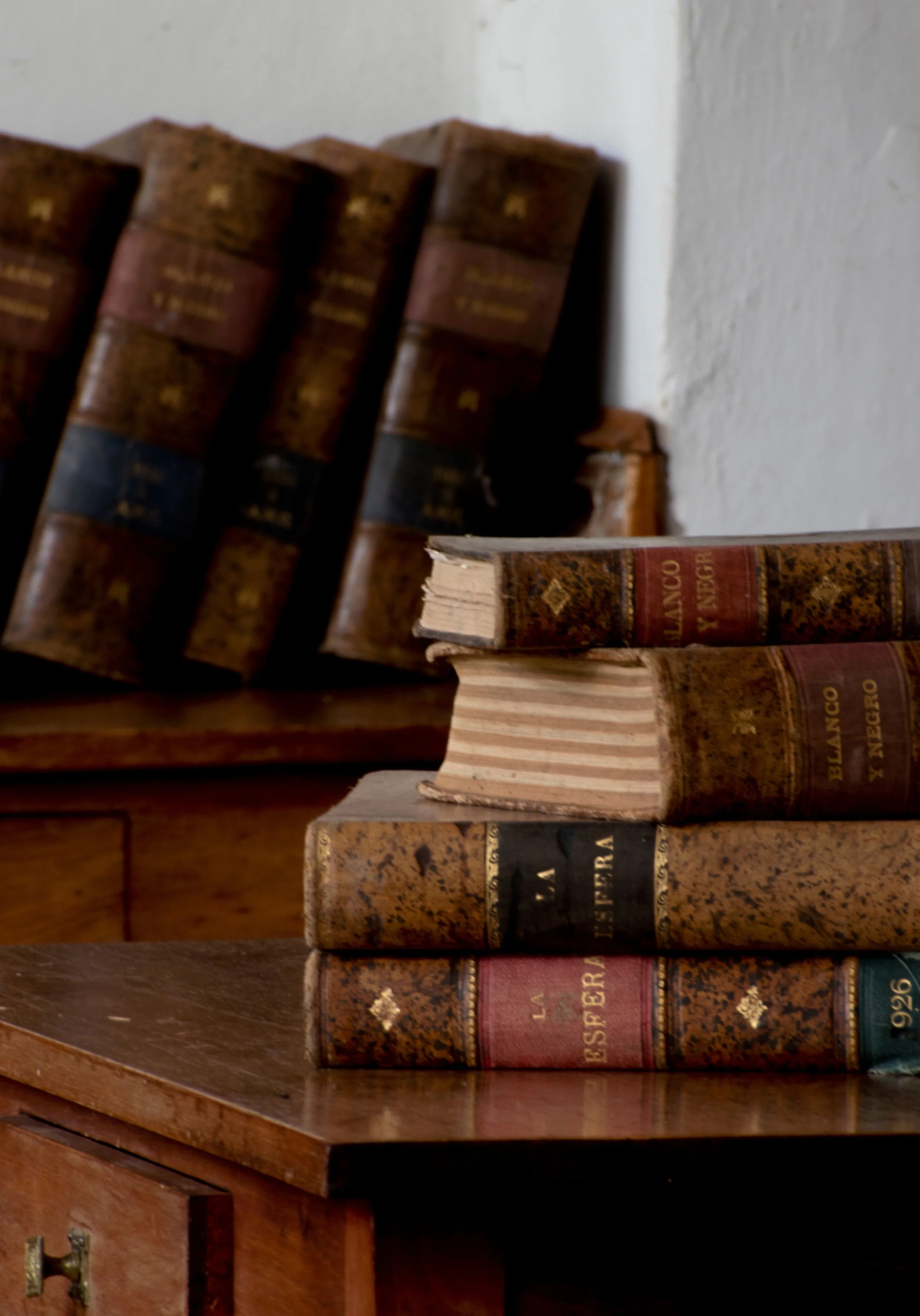 What Does a Homeopath Actually Study? The Training Behind Homeopathy