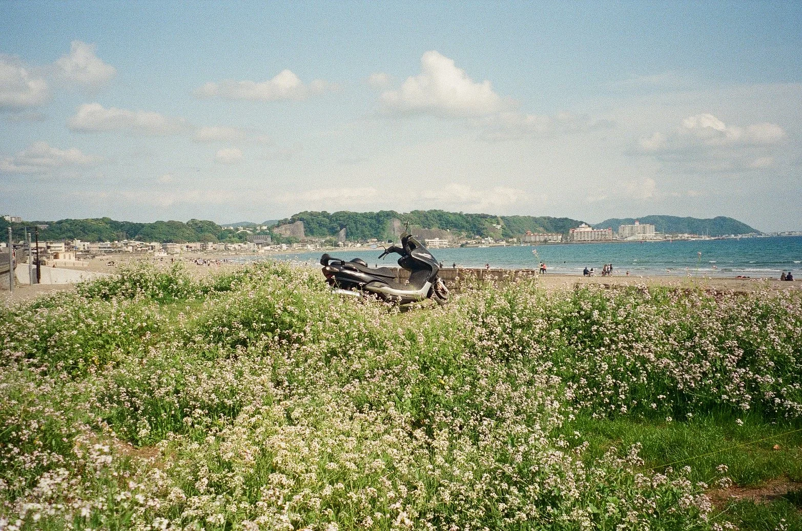 IMG_8109.jpeg