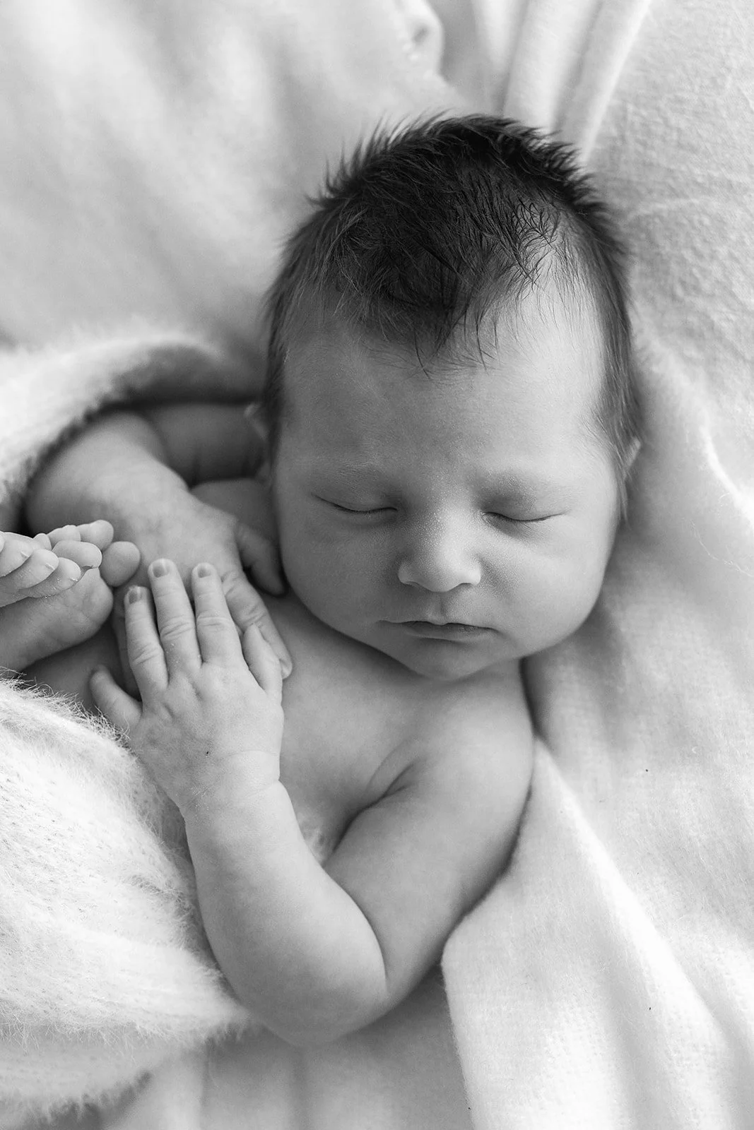 newborn-photographer-Geelong-Casey-Bell-11.jpg